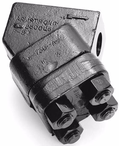 Armstrong D Series forged steel Y-type strainer exterior view