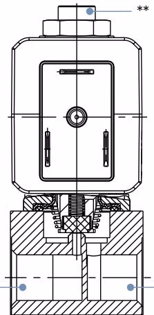 BURKERT 20009661 Type 7012 threaded port connection identification