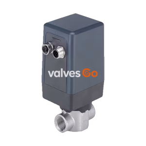 BURKERT 379024 Electromotive 2-Way Globe Proportional Valve