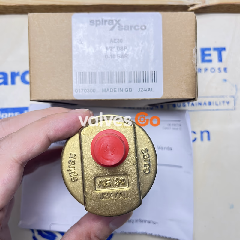 Spirax Sarco AE30 Automatic Air Vent Valve for Liquid Systems - Top