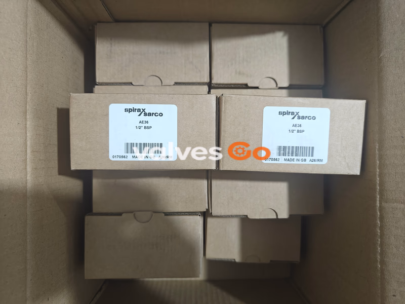 Spirax Sarco AE36/AE36A Automatic Air Vent Valve for Liquid Systems - DN15 Inner Package
