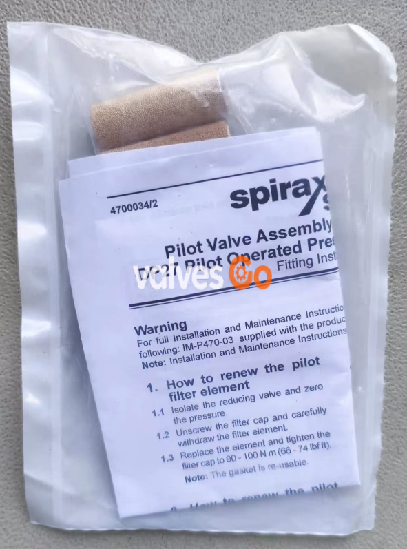 Spirax Sarco DP27 pilot filter element and cap gasket - back view
