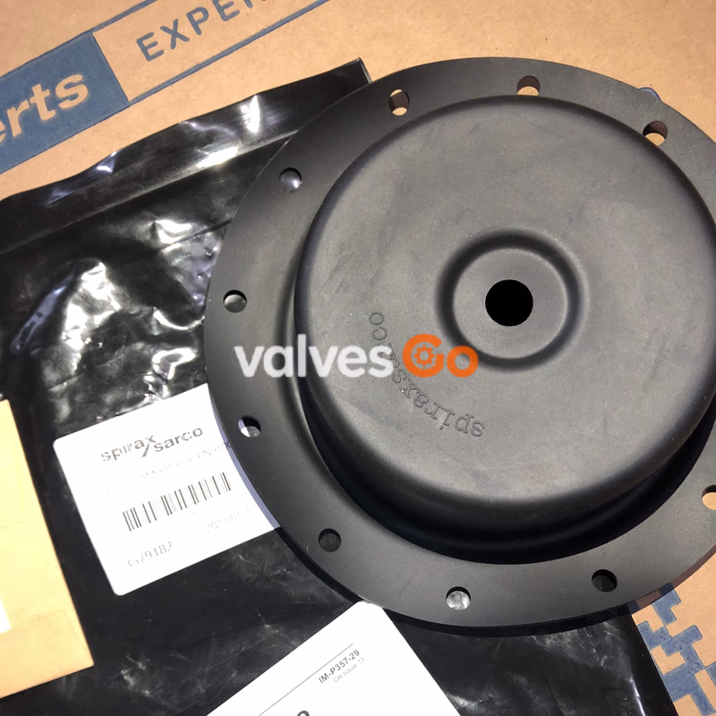 Spirax Sarco PN9100 diaphragm kit - real photo (detail)