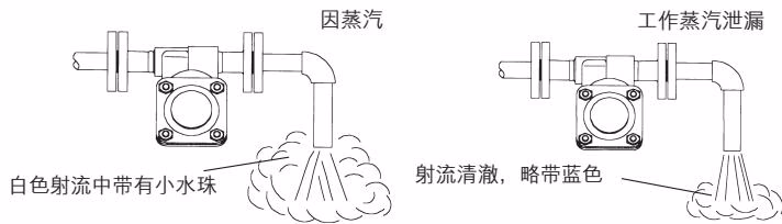 TLV SH6NL 闪蒸汽与工作蒸汽泄漏的目测检查