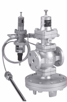 Yoshitake CP-2005 combination valve