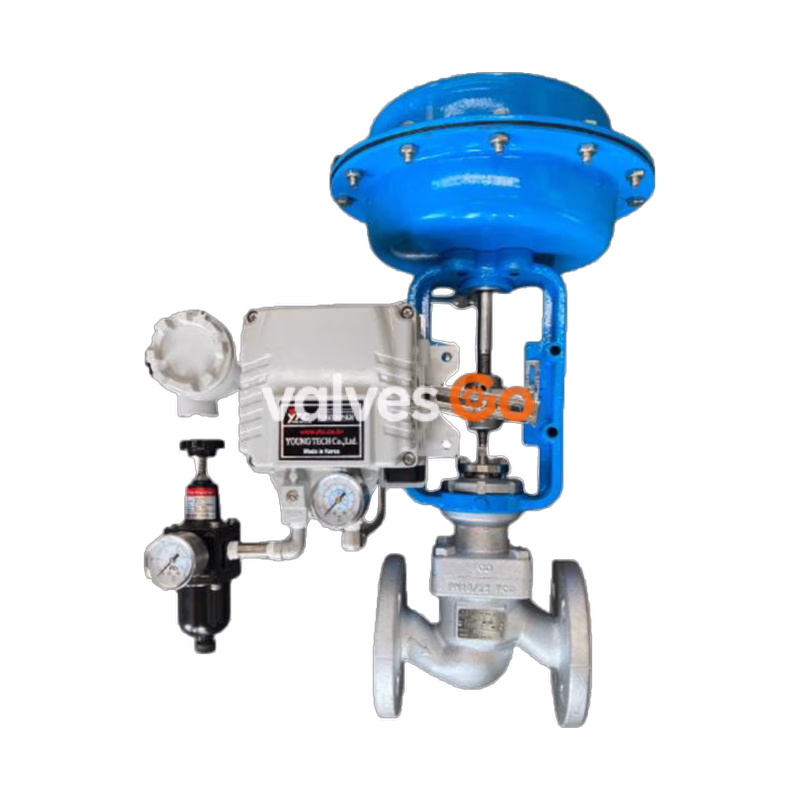 CT-100 Equal Percentage Control Valve