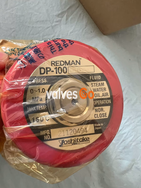 Yoshitake DP-100-D nameplate
