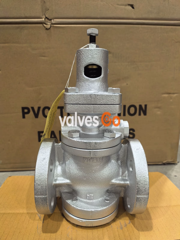 Yoshitake GP-1000 Pilot-Operated Steam Pressure Reducing Valve Back